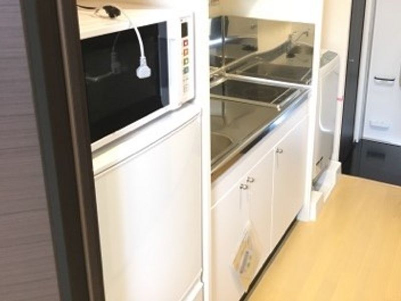 クレイノカトレア その他