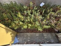 leopalace Rinkosen 발코니