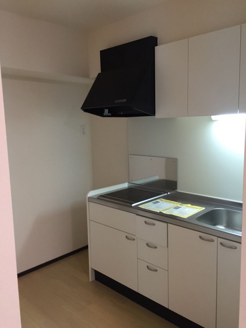 LEONEXT Ti Emu 주방