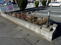 レオパレスアメニティアネックス 庭