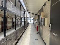 leopalace Piatto Other