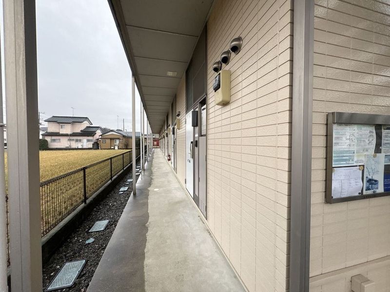 leopalace Patio Other