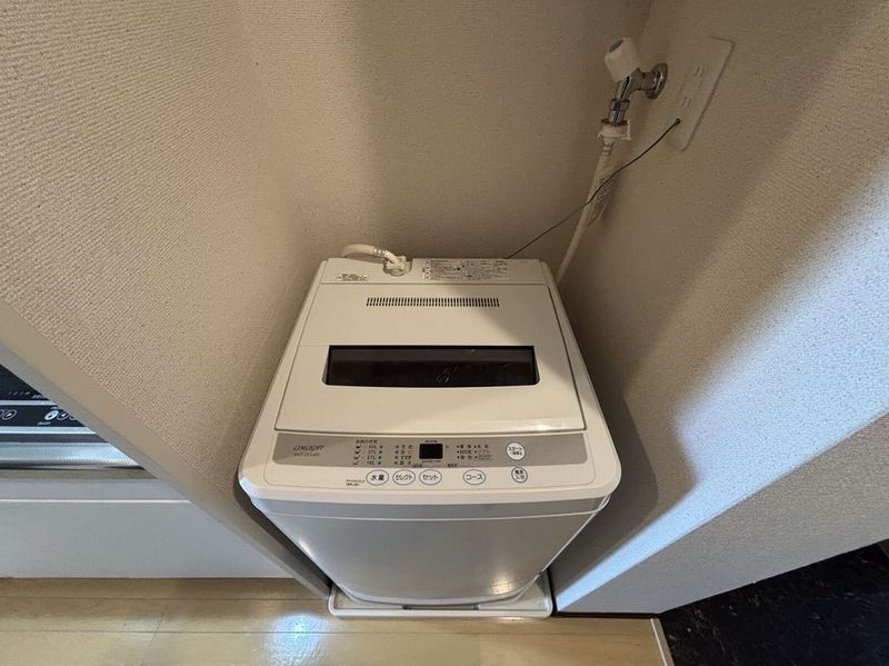 CLEINO N's Garden Khác