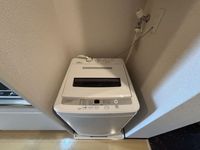 CLEINO N's Garden Khác