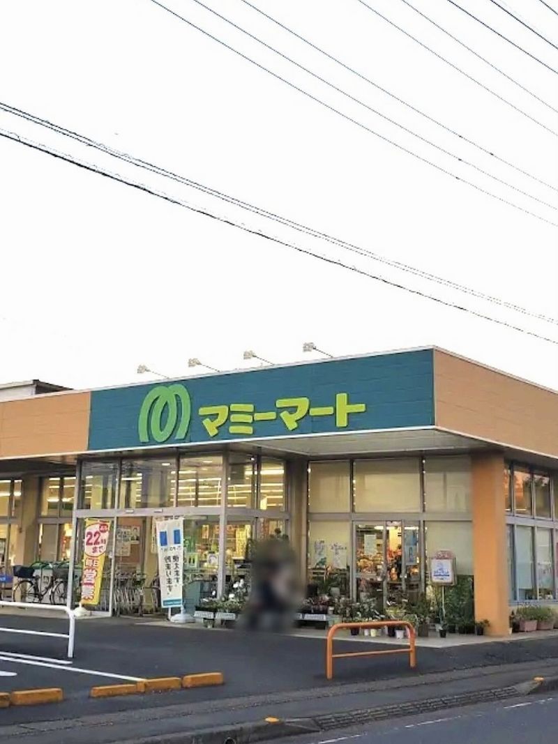 レオパレスヨネザワ 周辺環境