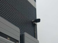 LEONEXT Shoken Shared spaces