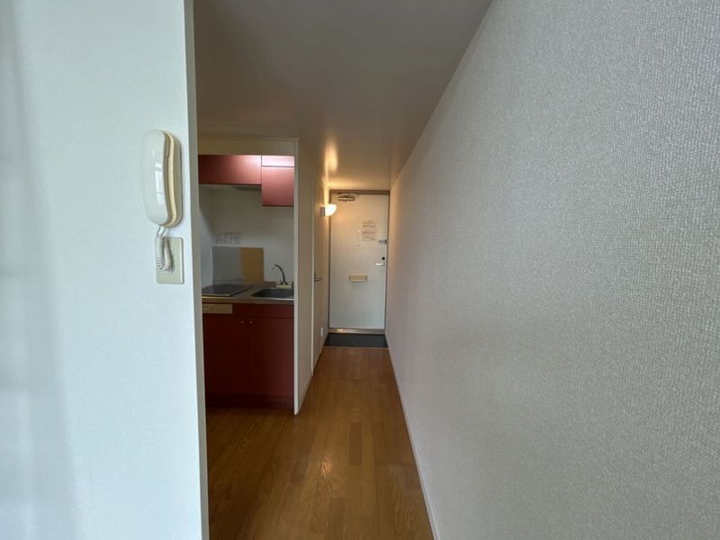 leopalace Bloom Khác