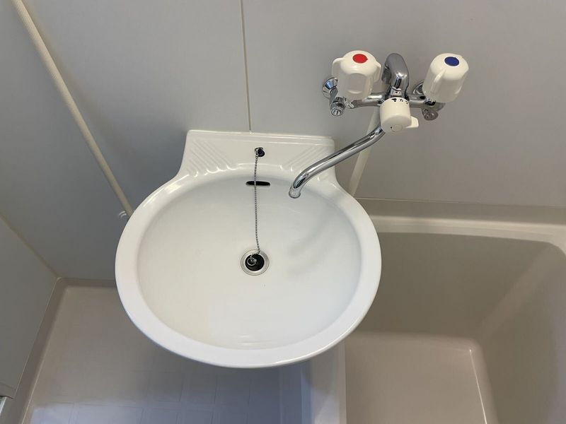 leopalace Beauty Leaf II Bồn rửa mặt