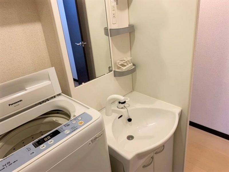レオネクストリュウトピア 洗面所