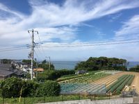 レオパレス海誠 眺望