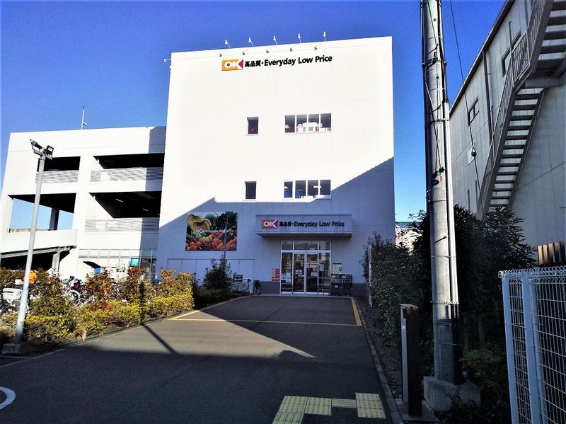レオネクストシャンブル 周辺環境