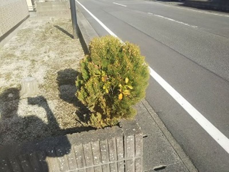 レオパレスブルースカイ その他