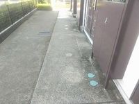 leopalace HSI RIVER II 共用部分