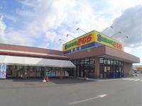 レオパレスマンダリアンコート藤井 周辺環境