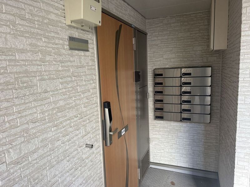 CLEINO Green Bridge 기타