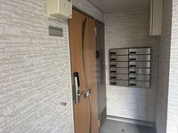 CLEINO Green Bridge 기타