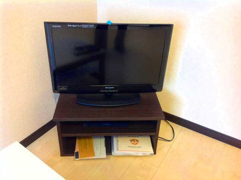 レオネクストエステシティⅢ その他