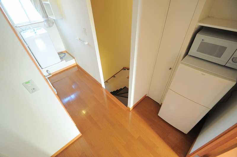 leopalace Green wood 기타