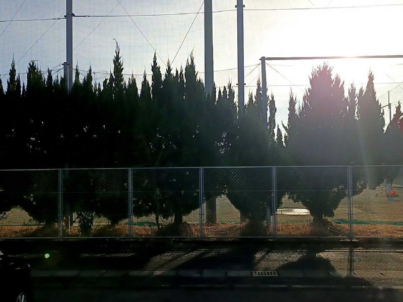 leopalace Wako 视野