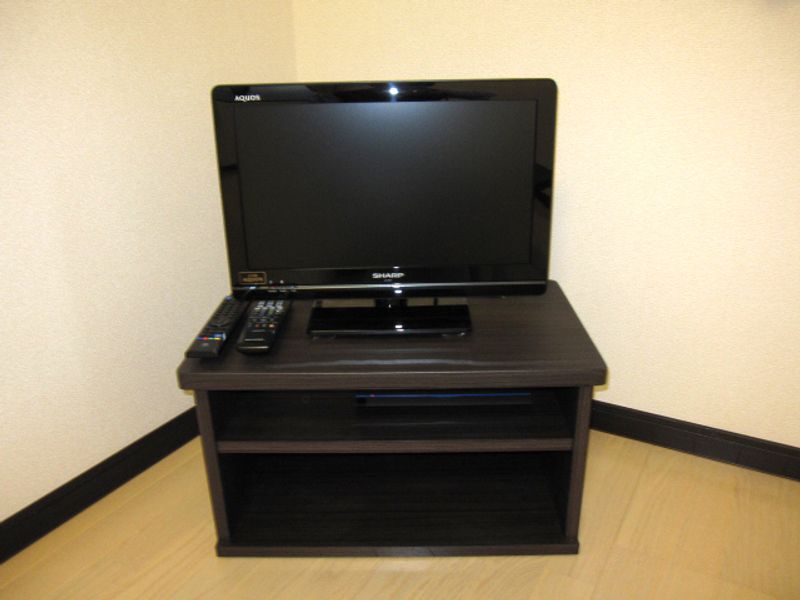 レオネクストルナ その他