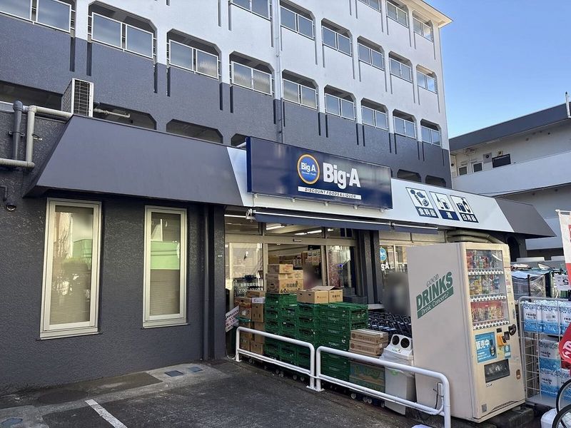 レオネクストスア 周辺環境