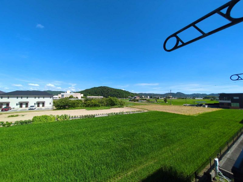 leopalace KOFU 视野