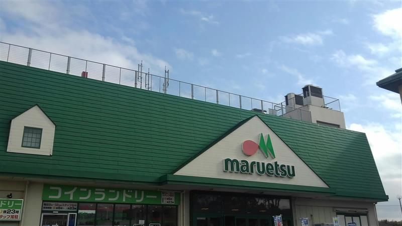 レオネクストコスモエステートＢ 周辺環境