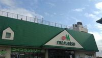 レオネクストコスモエステートＢ 周辺環境