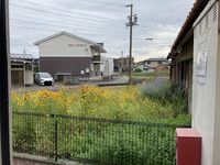 レオパレススプリングＡ 眺望