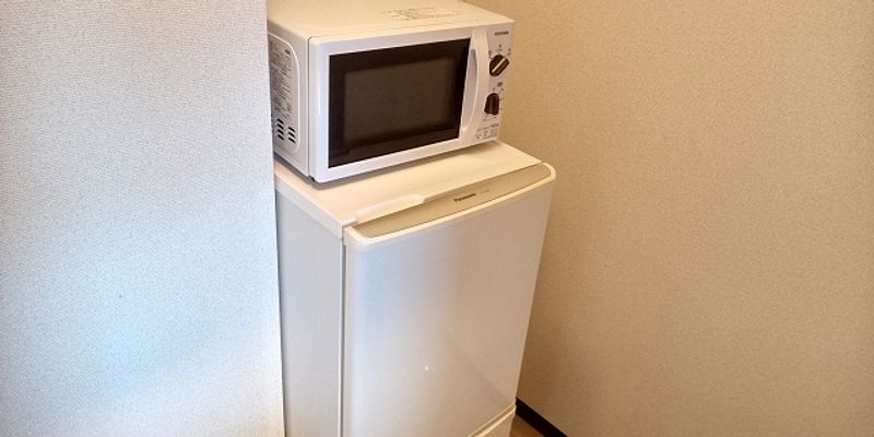 レオネクストＳコーポ山寺 その他