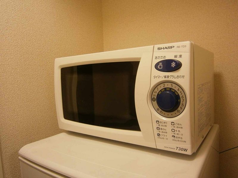 レオネクストベネフィット双葉 その他設備