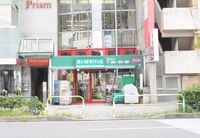 LEONEXT Fortuna Khác