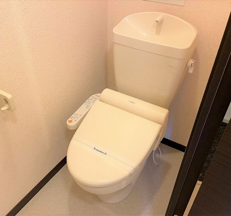 レオネクストムカイハラⅡ トイレ