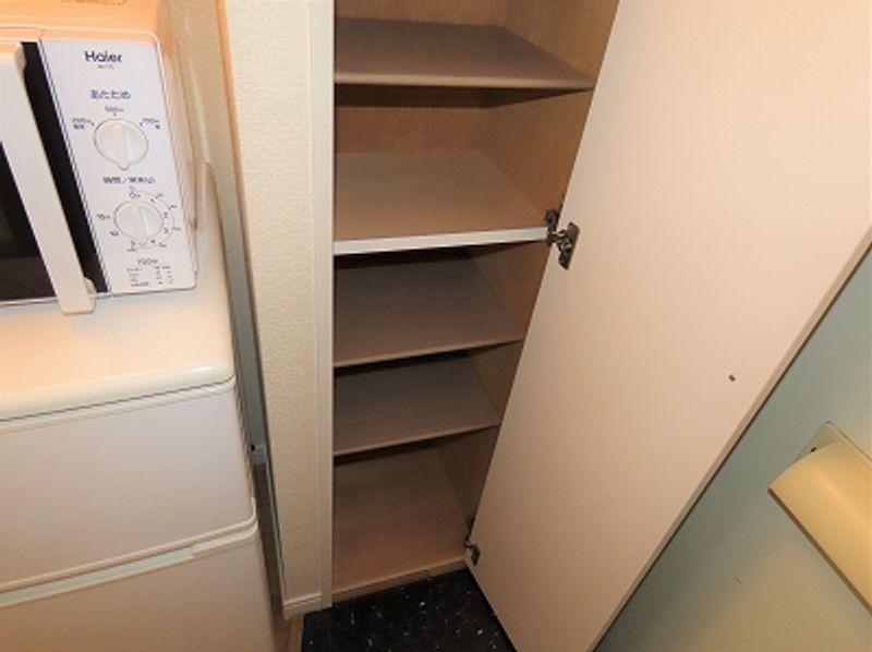 レオパレスドミールⅡ 玄関