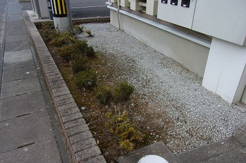 レオパレス城南荘 庭