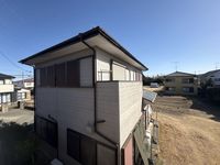 LEONEXT Gemare Oami View