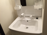 レオネクストボナール　Ｊｏｙ 洗面台