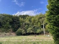 レオパレス住吉 眺望