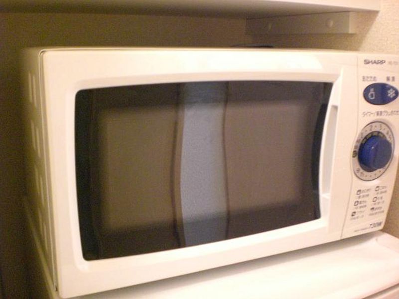 レオパレスリバーヴィレッジＡ その他設備