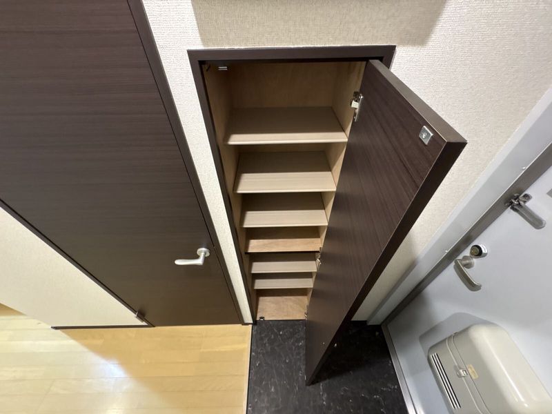 CLEINO Sunrise III 기타