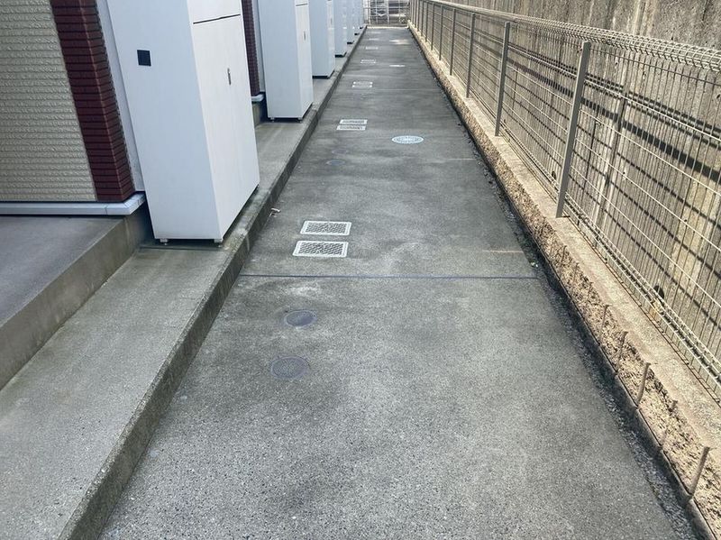 レオネクスト白仙 その他