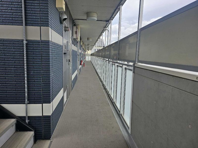 LEONEXT Eclair Kita Imaichi Khác