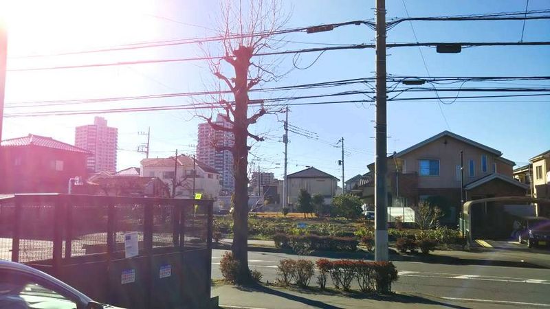 レオネクストセレッサ 眺望