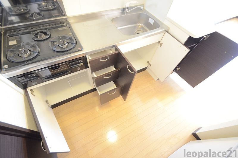 LEONEXT Arao Kho lưu trữ