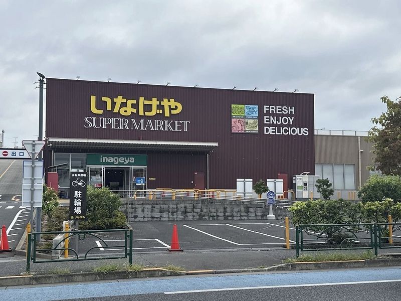 レオネクストグリーン下石神井 周辺環境
