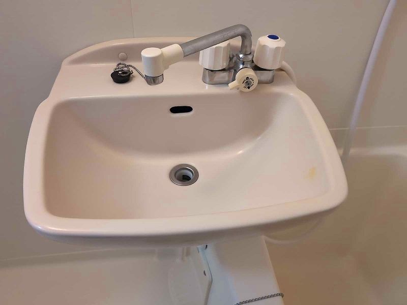 leopalace Grandchariot Sink