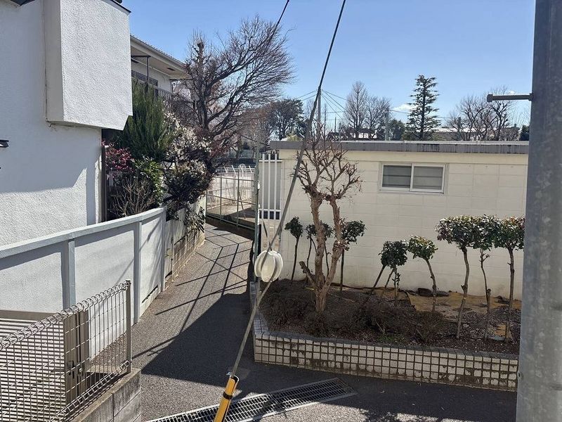 LEONEXT Glanz Fuji 24 전망