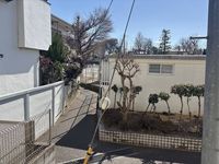 LEONEXT Glanz Fuji 24 전망