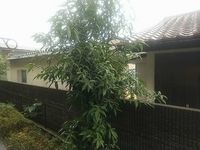 レオパレス山吹 眺望