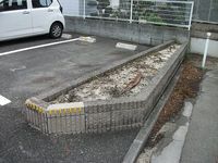 レオパレスセドナ　西福島 庭